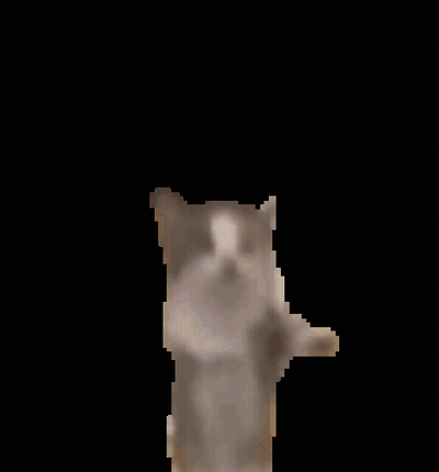 Pixelated Cat With Arms Outstretched GIF