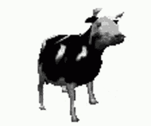 Pixelated Dancing And Groovy Cow