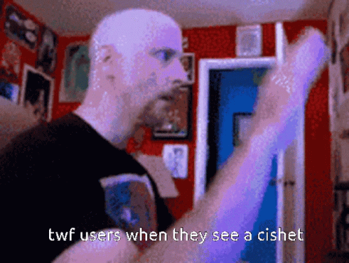 Pixelated Man With Caption Twf Users When They See A Cishe GIF