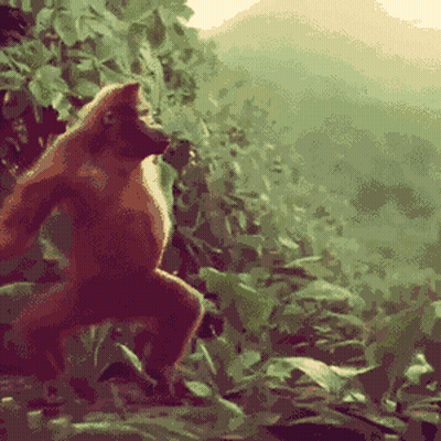 Pixelated Monkey In Jungle GIF