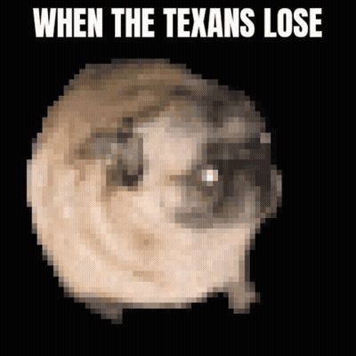 Pixelated Pug When The Texans Lose GIF