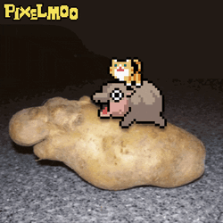 Pixelmoo Pixel Moo GIF