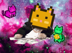 Pixilated Cat Funny Money GIF