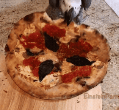 Pizza On Wooden Board Saying Einsteinparro GIF