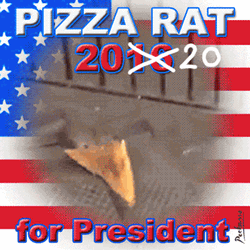 Pizza Rat Showering For President GIF