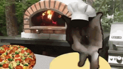 Pizza Time Cat Chef Baking  GIF