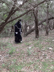 Plague Doctor Forest Walking GIF