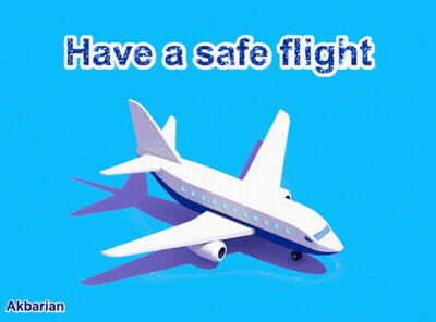 Plane And Have A Safe Flight GIF