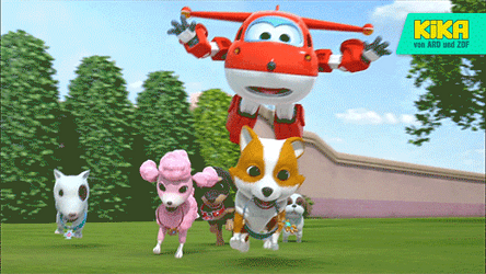Plane Chasing Dog Fell Down Into Fountain Funny Thing GIF