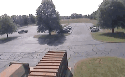 Plane Crash Saved By The Tree GIF