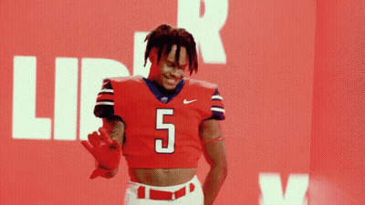 Plane Flying Over Field With Son Sticker GIF