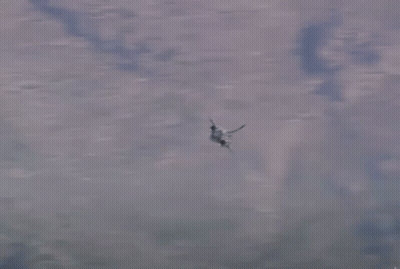 Plane Flying Through Clouds GIF