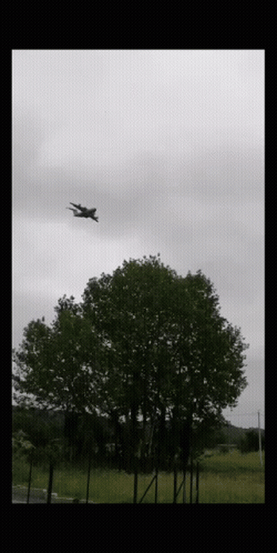 Plane Flying Through Cloudy Sky Above Tree GIF