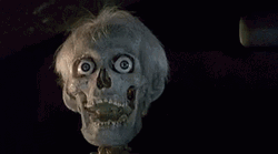 Planes Trains And Automobiles Skull GIF