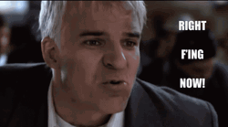 Planes Trains And Automobiles Steve GIF