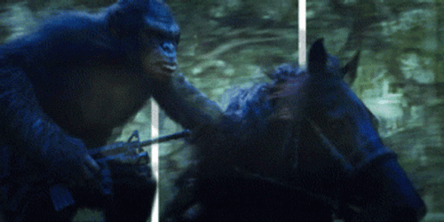 Planet Of The Apes Caesar Horse Riding GIF