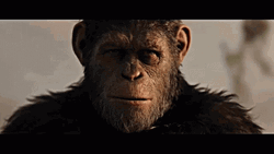 Planet Of The Apes Caesar Smile GIF