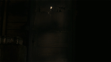 Planet Of The Apes Caesar With Gun GIF