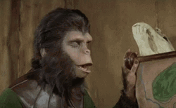 Planet Of The Apes Funny Face GIF