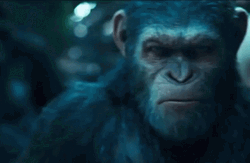 Planet Of The Apes Mad Caesar GIF