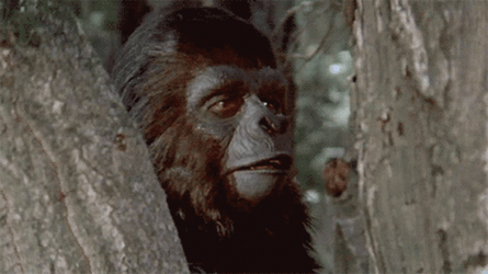 Planet Of The Apes Shocked Open Mouth GIF