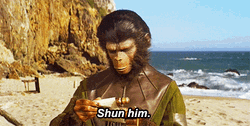 Planet Of The Apes Shun Him GIF