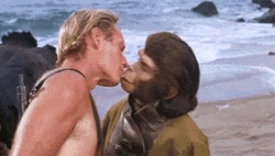 Planet Of The Apes GIF