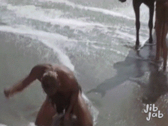 Planet Of The Apes GIF