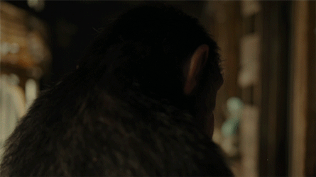 Planet Of The Apes Walking Slowly GIF