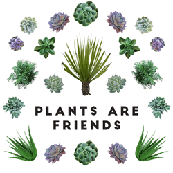Plant Are Friends Collection