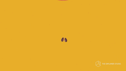 Plant Growing Animation  GIF