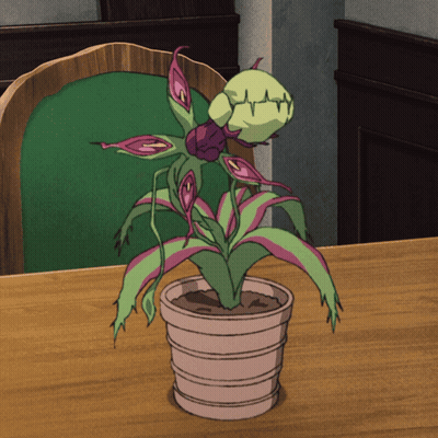 Plant In Pot On Table In Front Of Chair GIF