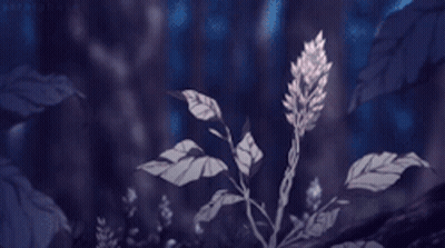 Plant With Leaves And Flower In Dark Forest GIF