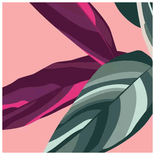 Plant With Pink And Green Leaves Sticker