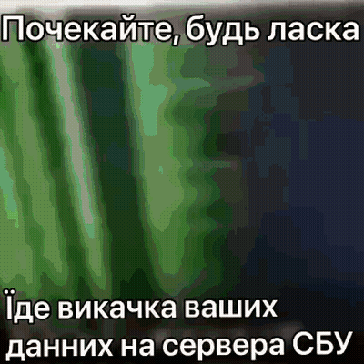 Plant With Russian Caption GIF