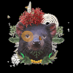 Plants Tasmanian Devil GIF