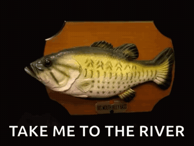 Plaque With Fish Saying Take Me To The River GIF
