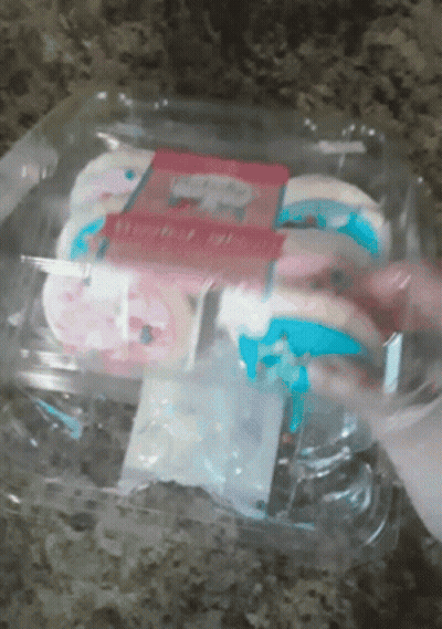 Plastic Container With Pink And Blue Cupcakes Strawberry GIF