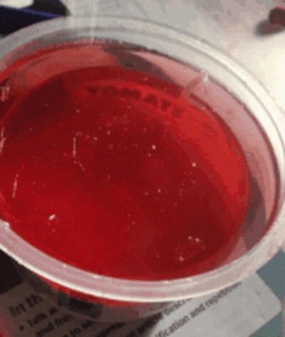 Plastic Cup Filled With Red Liquid Saying Yomatx GIF