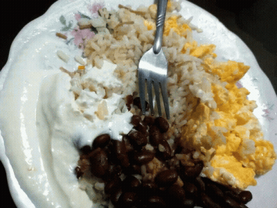 Plate Of Rice Beans Eggs And Sour Cream With Fork GIF