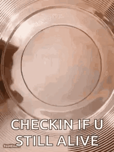 Plate Saying Checkin If U Still Alive GIF