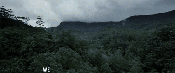 Platoon Jungle Search GIF