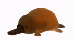 Platypus Balloon Deflating GIF