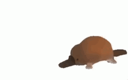 Platypus Crypt Keeper GIF
