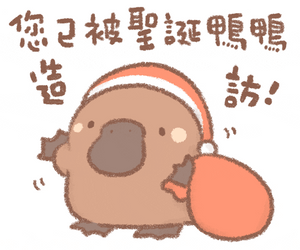 Platypus Wearing Chrismas Hat GIF