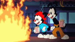 Playful Animaniacs Yakko Wakko Marshmallows Campfire GIF