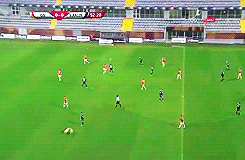 Playful Puppies Sports Football GIF