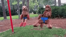Playground Swing Dogs GIF
