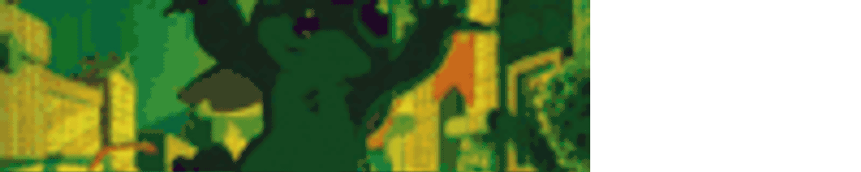 Playing In The Ciry Sticker GIF