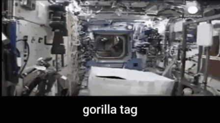 Playing Like Gorilla Tag In Space GIF